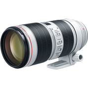 Canon EF 70-200mm f/2.8 L IS III USM Lens