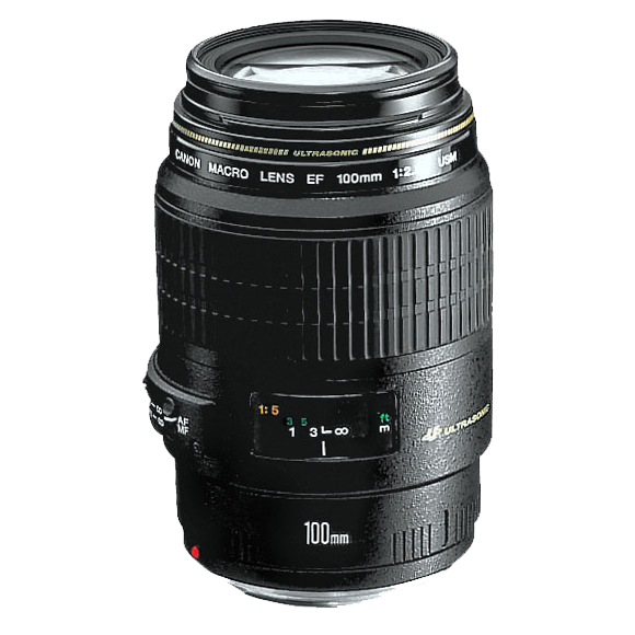 Canon Lenses – Flipafone