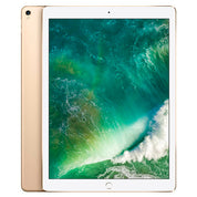 iPad Pro 12.9-inch (2015) 1st Gen
